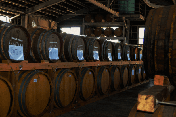 新里酒造の熟成庫に並ぶ樫樽。泡盛古酒とウイスキーの熟成を支える現場